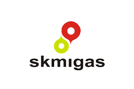 skmigas skmigas